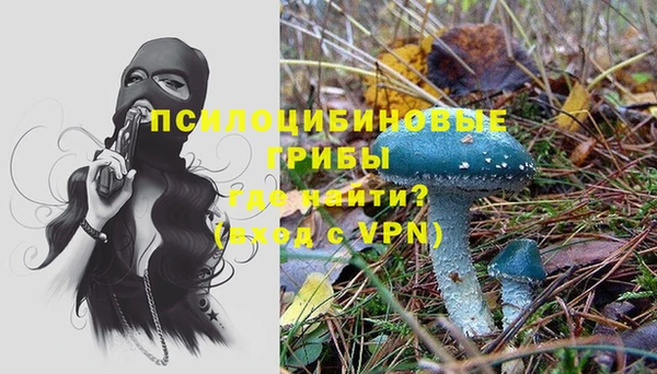 mdpv Тихвин